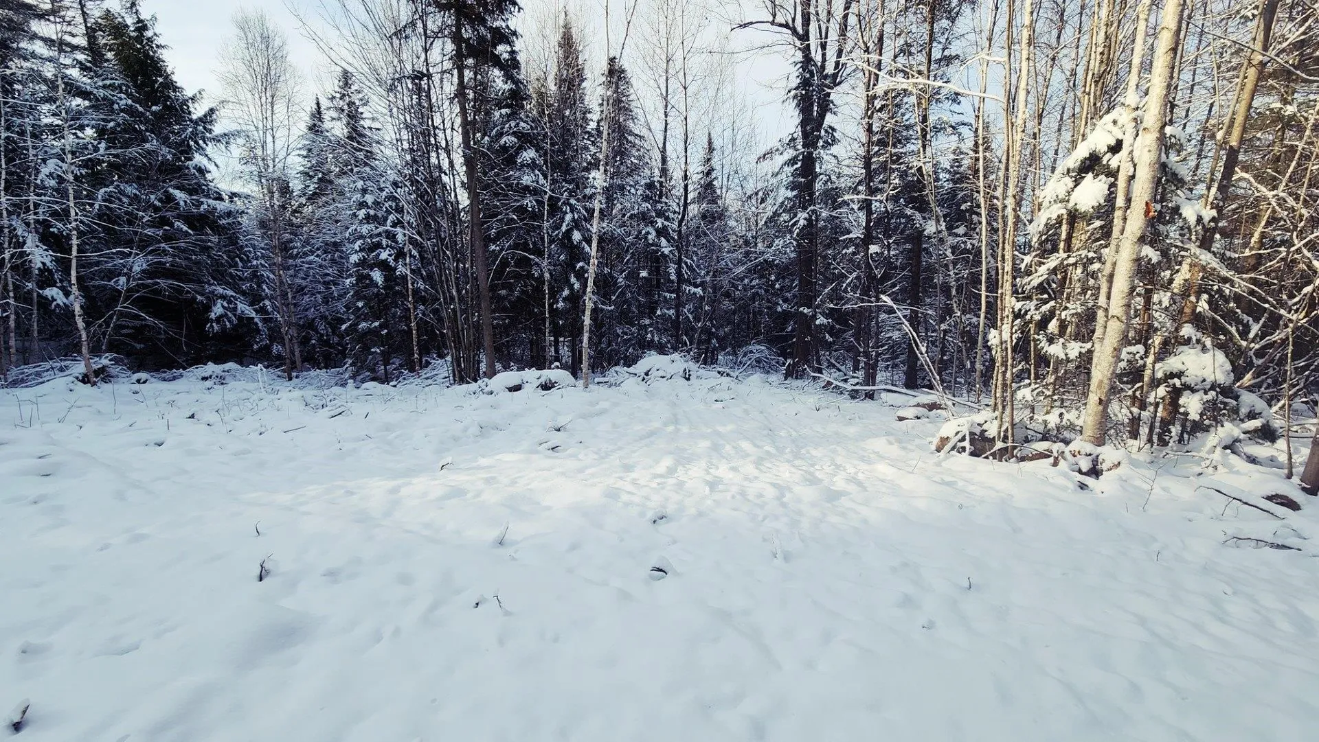 0 Pine Hill Road Coventry VT 05825