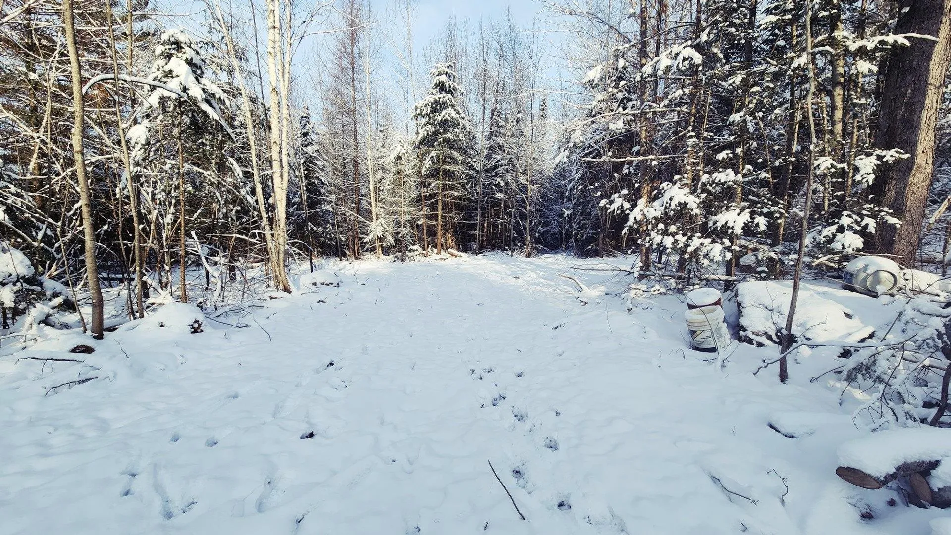 0 Pine Hill Road Coventry VT 05825