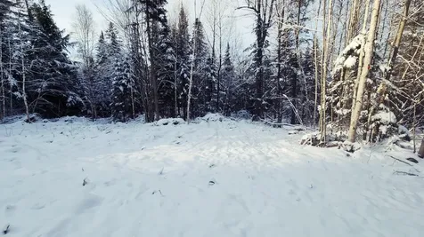 0 Pine Hill Road Coventry VT 05825