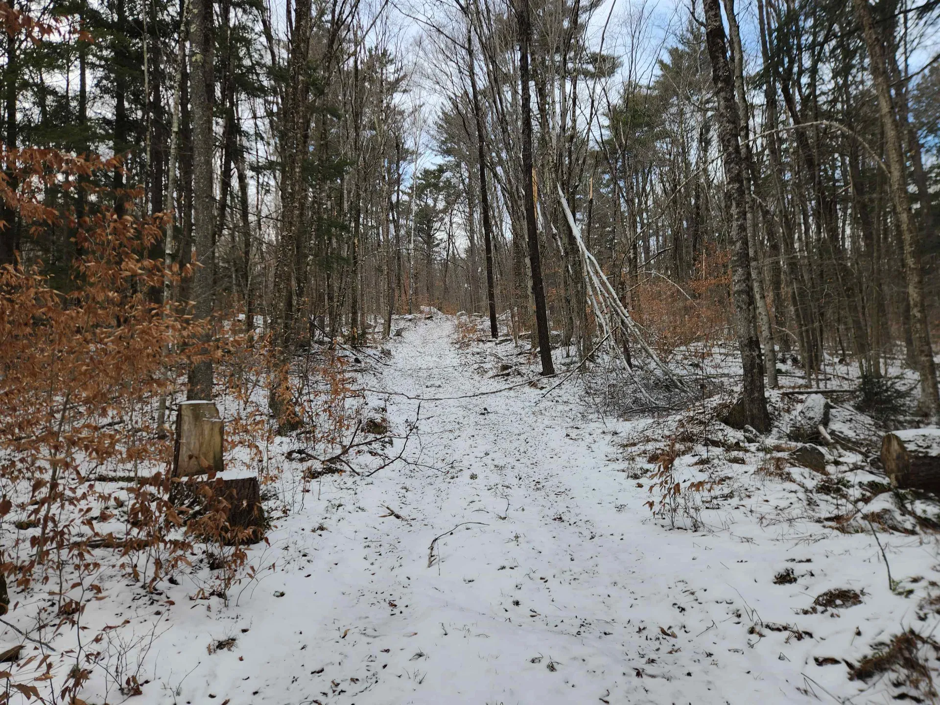 42 Beech Lane Gilsum NH 03448