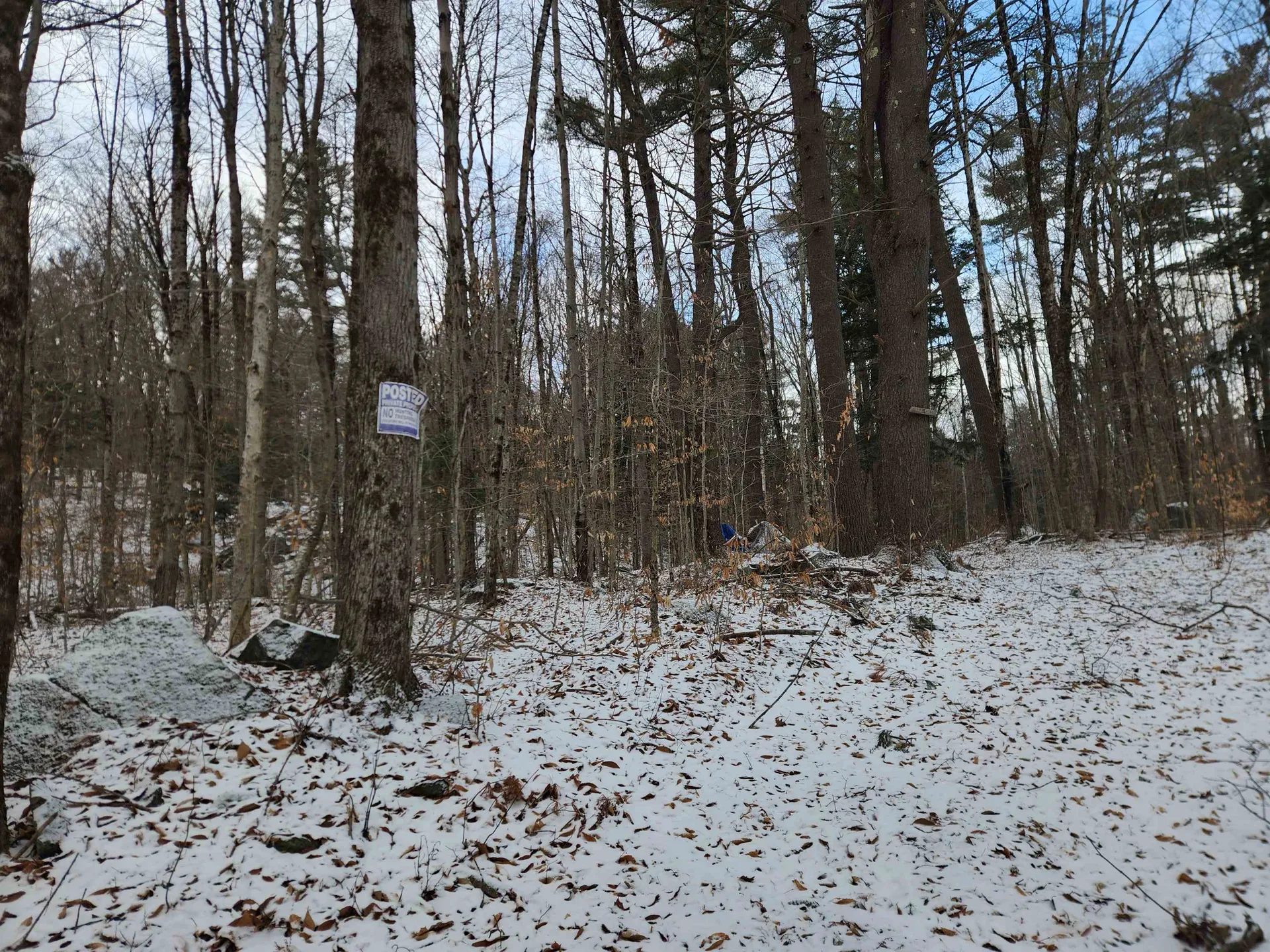 42 Beech Lane Gilsum NH 03448