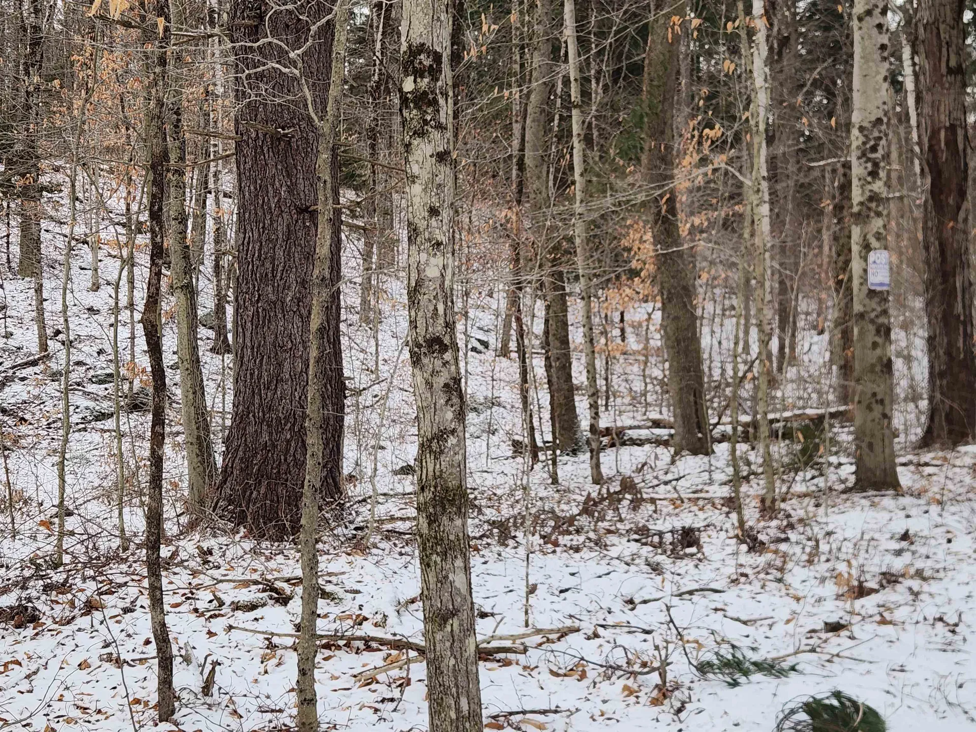 42 Beech Lane Gilsum NH 03448