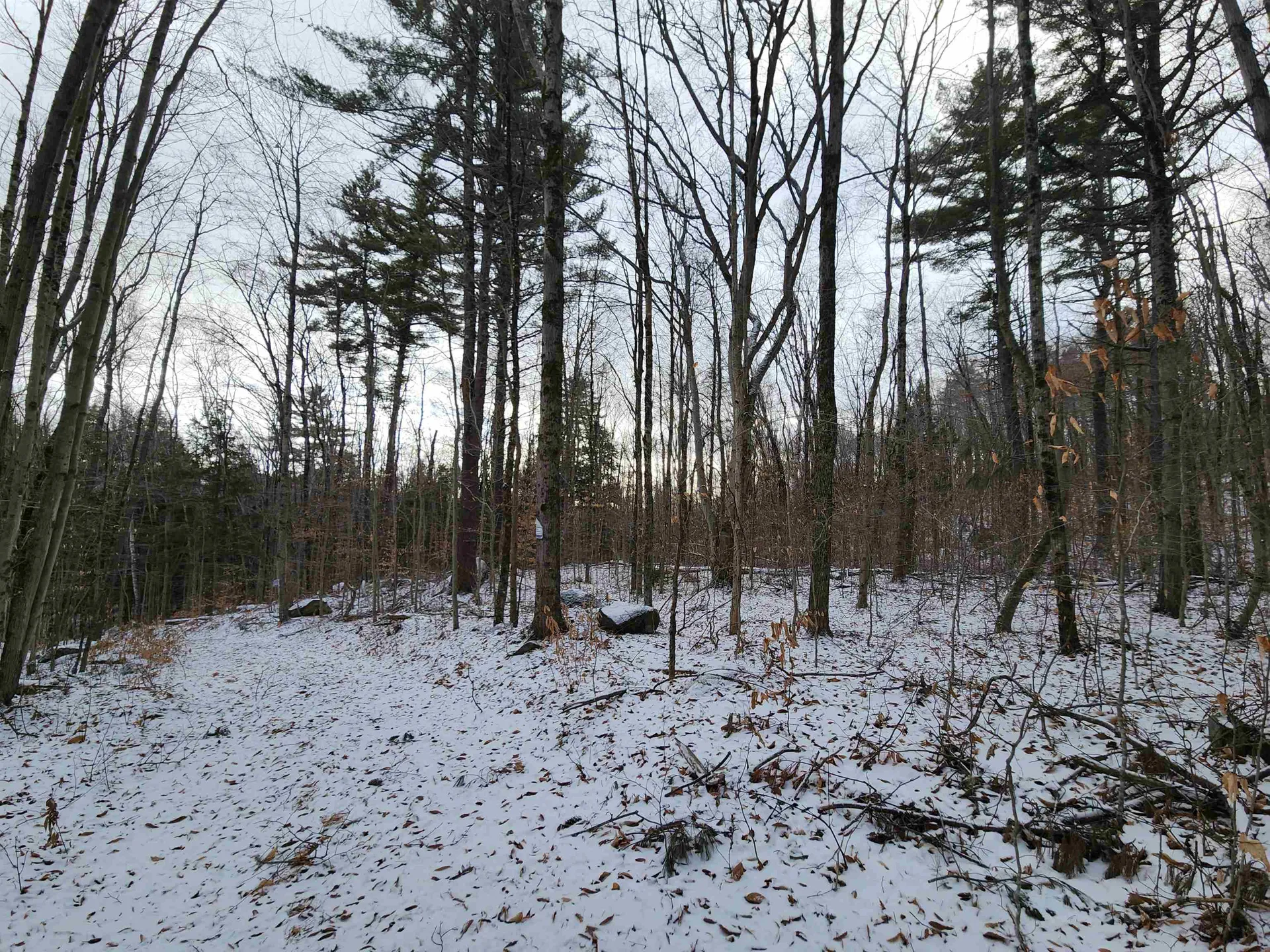 42 Beech Lane Gilsum NH 03448