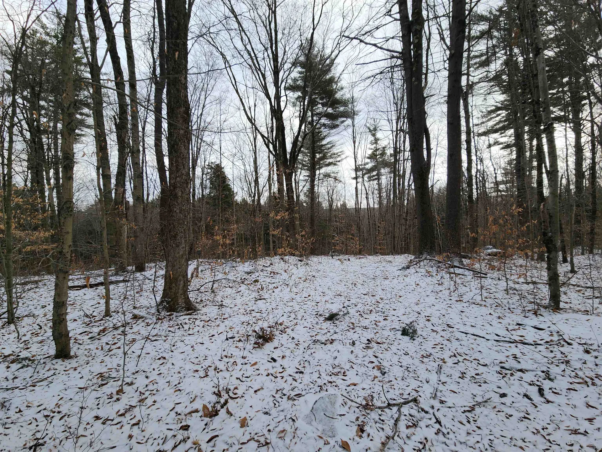 42 Beech Lane Gilsum NH 03448