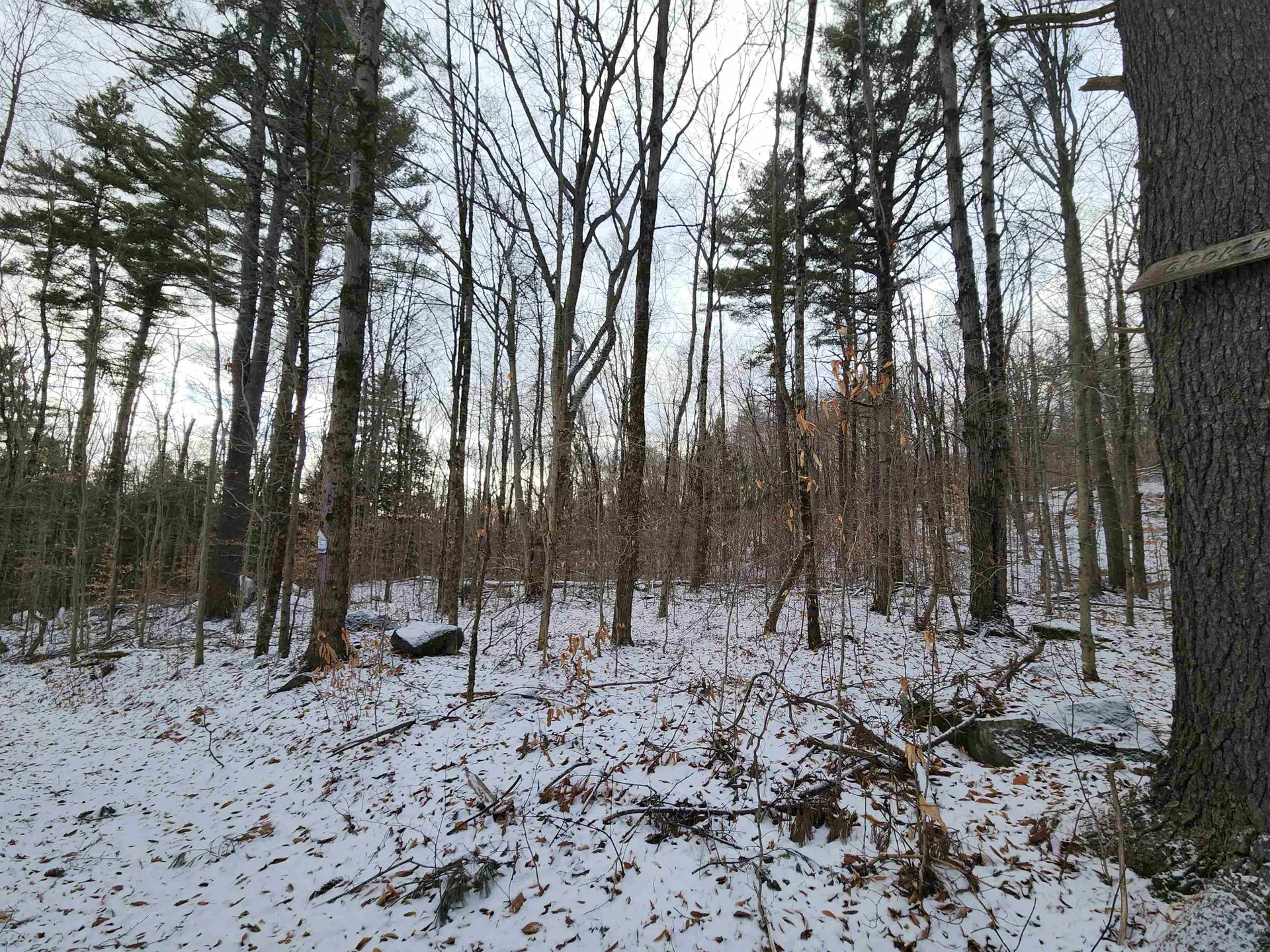 42 Beech Lane Gilsum NH 03448