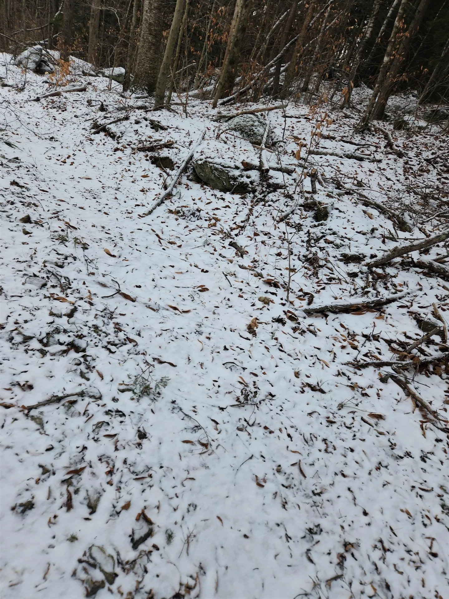 42 Beech Lane Gilsum NH 03448