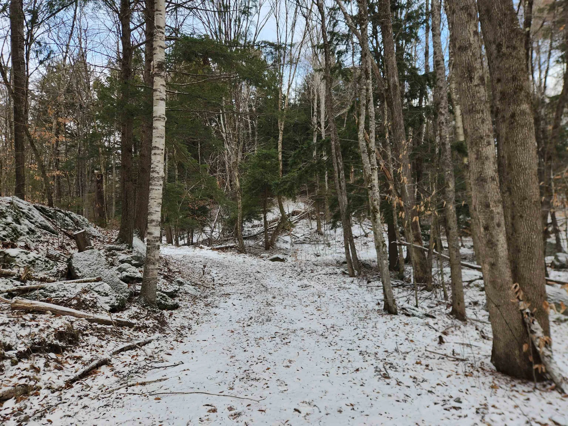 42 Beech Lane Gilsum NH 03448