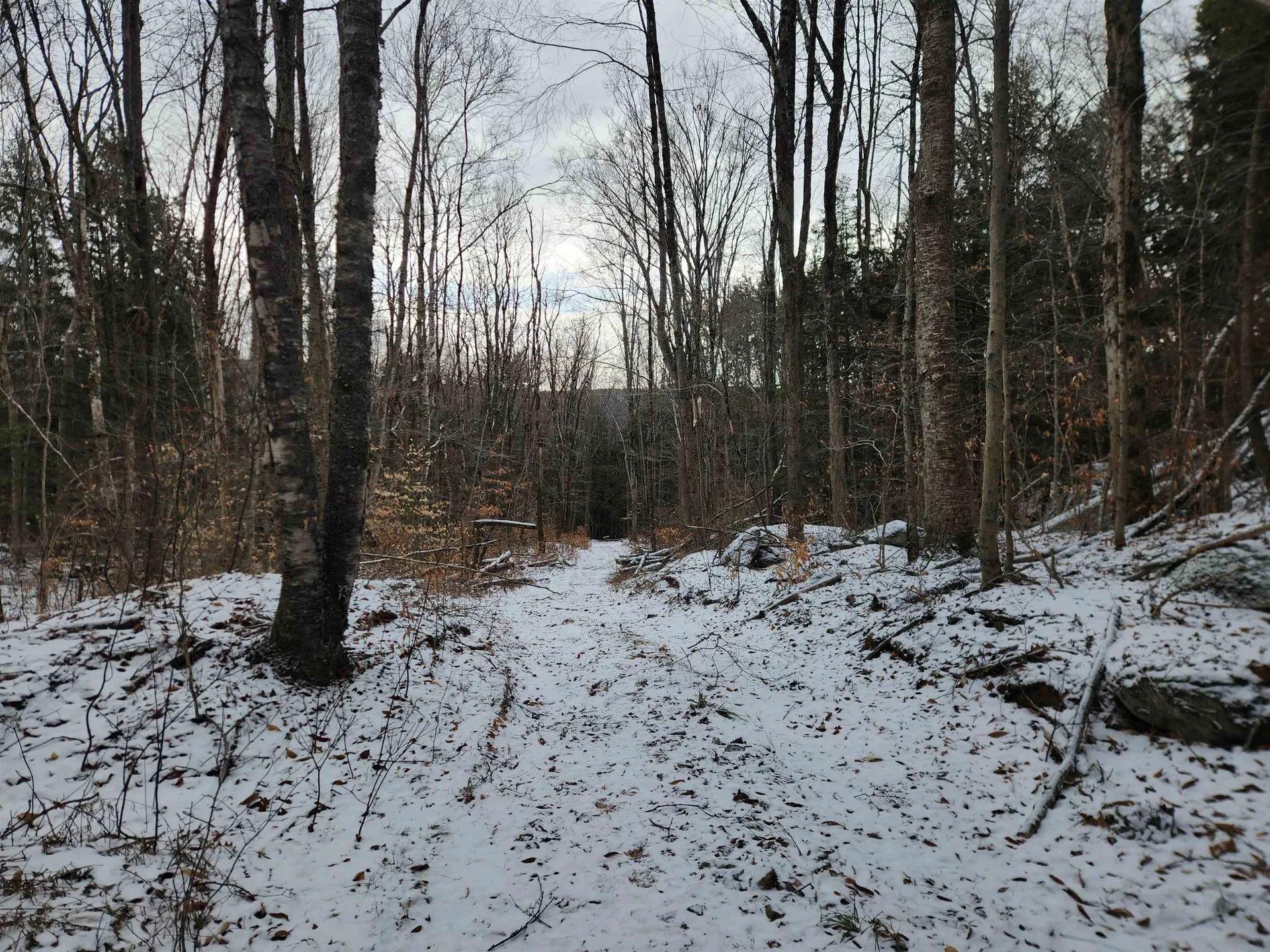 42 Beech Lane Gilsum NH 03448