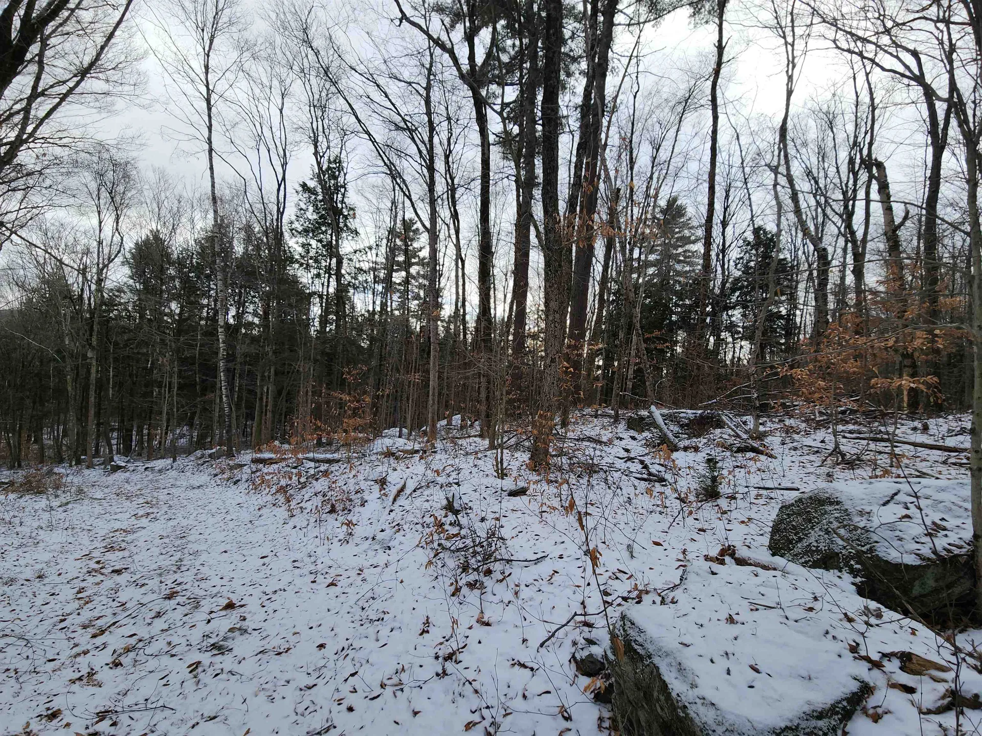 42 Beech Lane Gilsum NH 03448