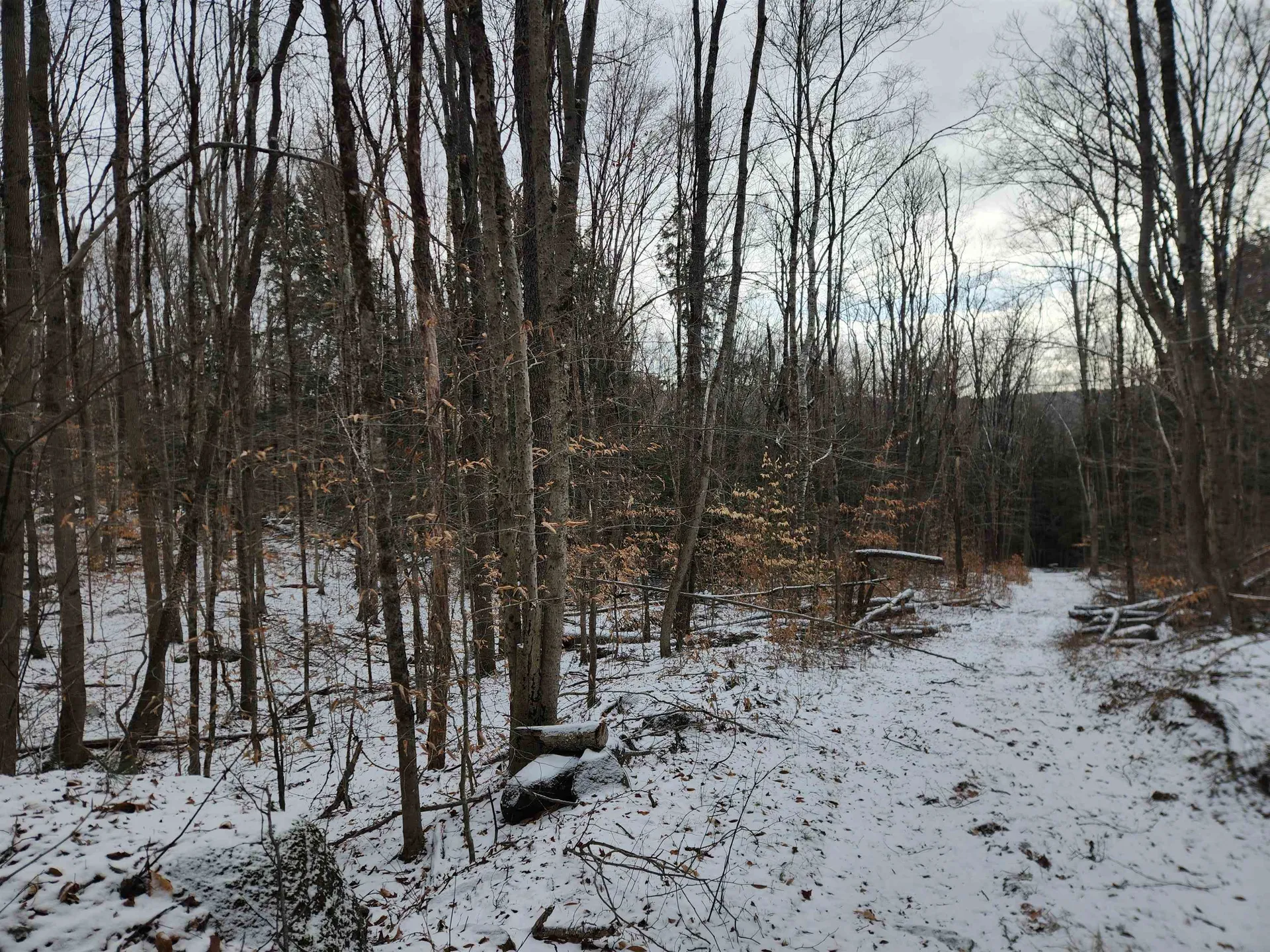 42 Beech Lane Gilsum NH 03448