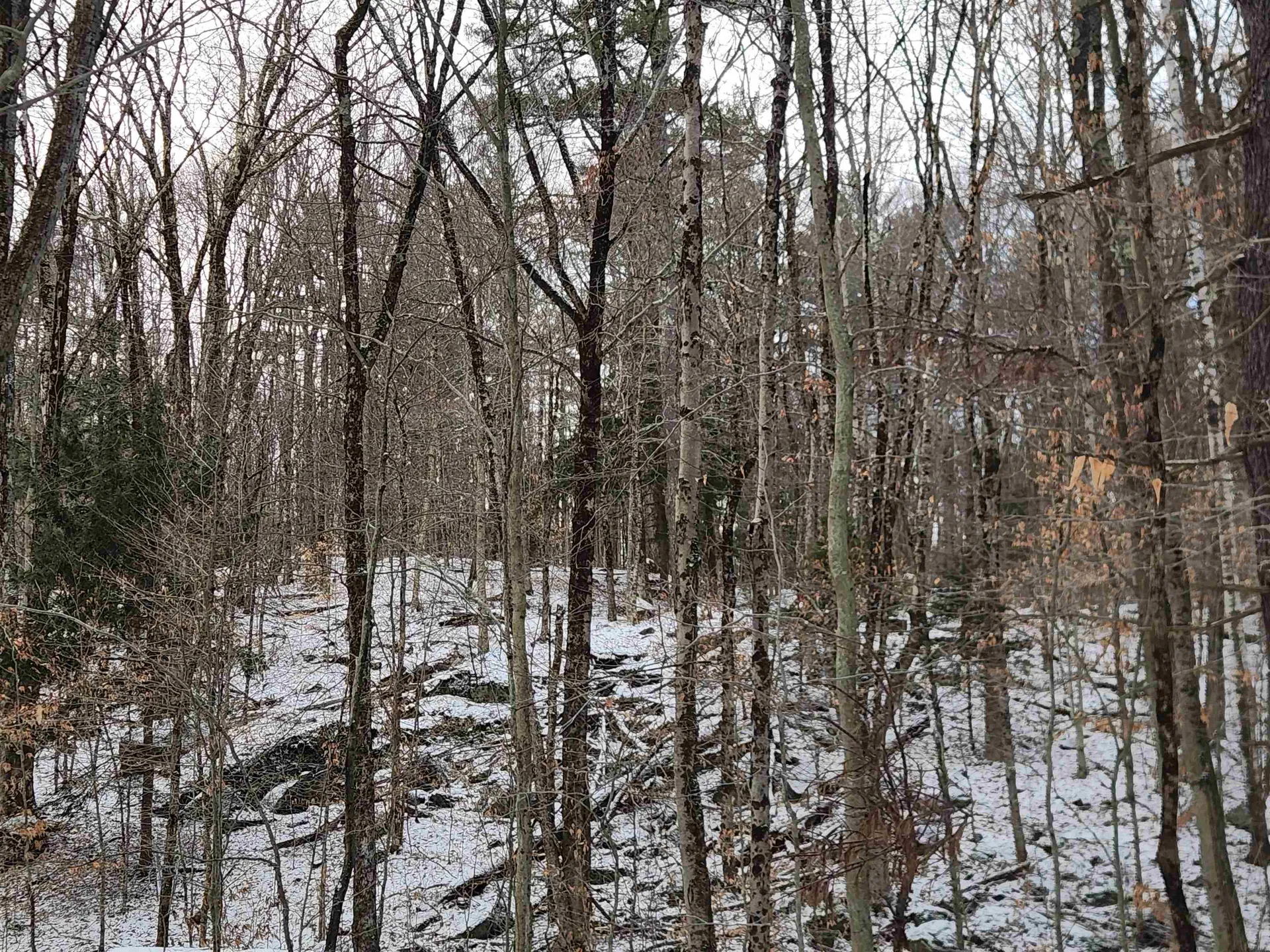 42 Beech Lane Gilsum NH 03448