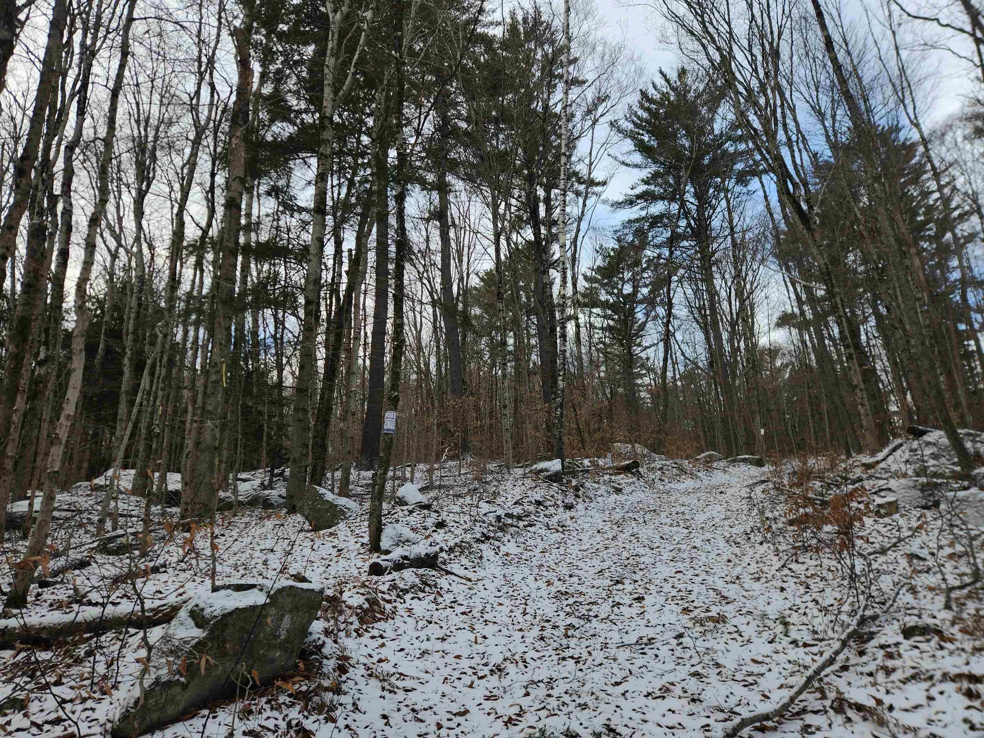 42 Beech Lane Gilsum NH 03448