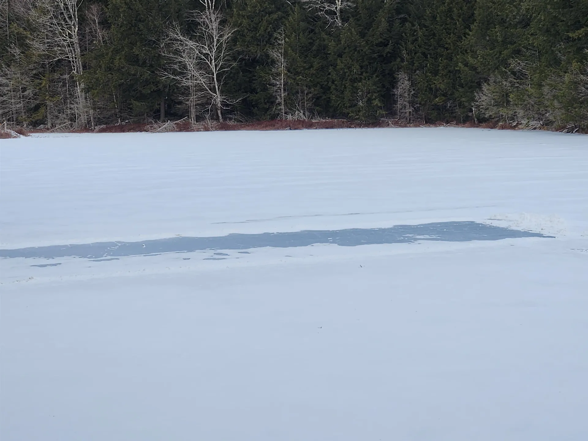 42 Beech Lane Gilsum NH 03448