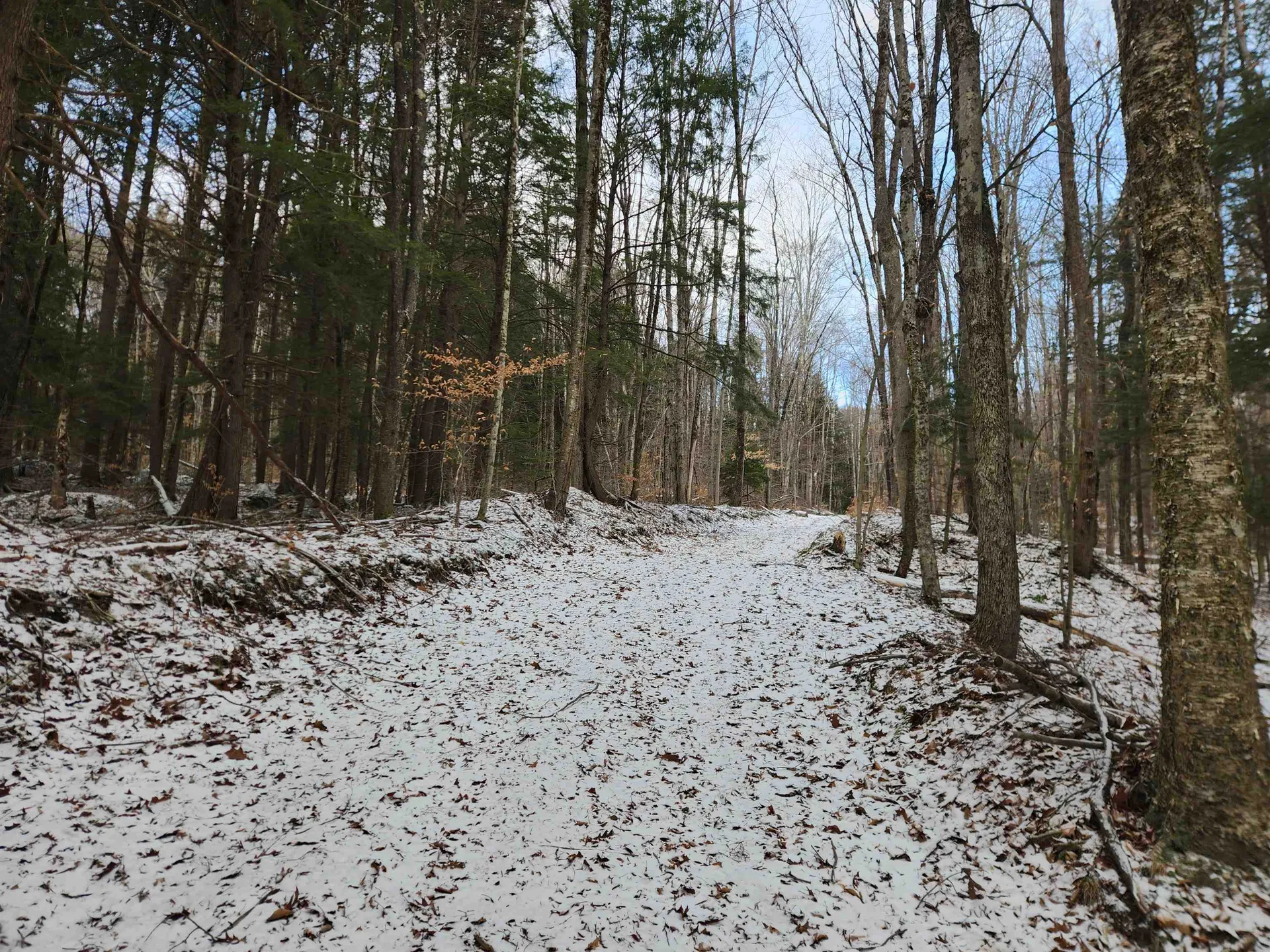 42 Beech Lane Gilsum NH 03448