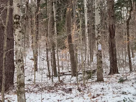 42 Beech Lane Gilsum NH 03448