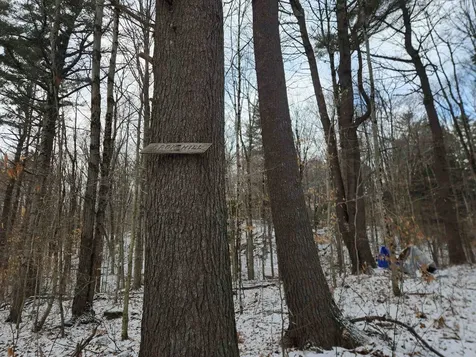 42 Beech Lane Gilsum NH 03448