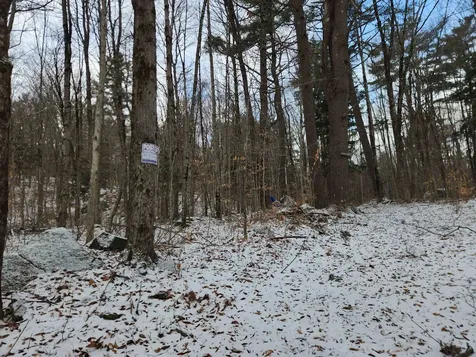 42 Beech Lane Gilsum NH 03448