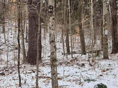 42 Beech Lane Gilsum NH 03448