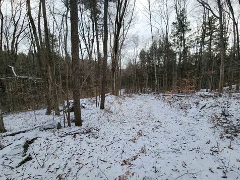 42 Beech Lane Gilsum NH 03448