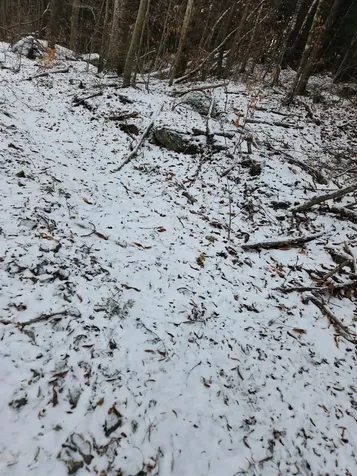 42 Beech Lane Gilsum NH 03448