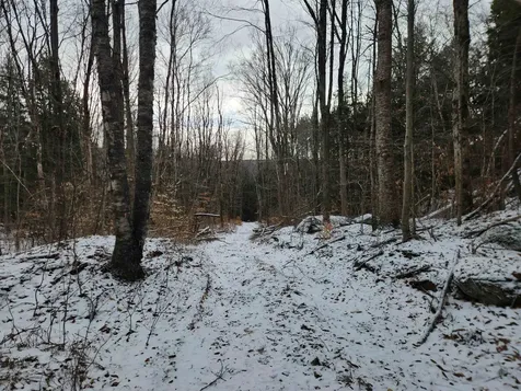 42 Beech Lane Gilsum NH 03448