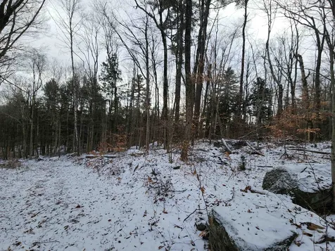 42 Beech Lane Gilsum NH 03448