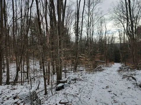 42 Beech Lane Gilsum NH 03448