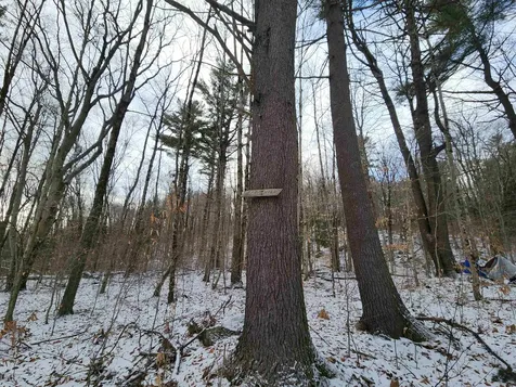 42 Beech Lane Gilsum NH 03448