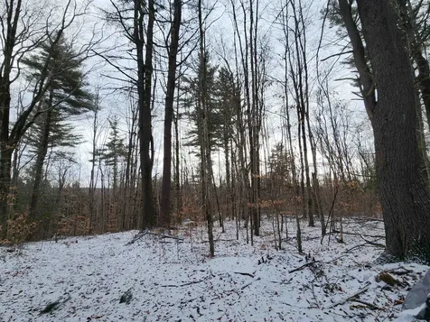 42 Beech Lane Gilsum NH 03448