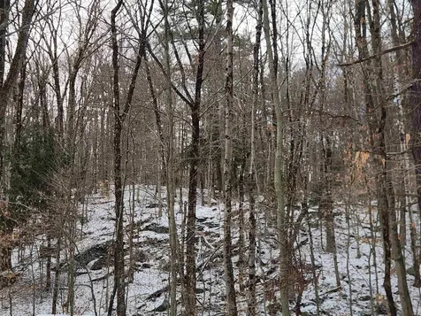 42 Beech Lane Gilsum NH 03448