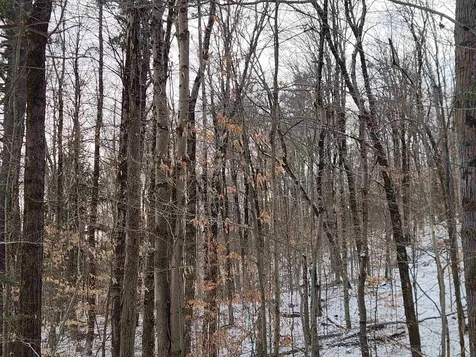 42 Beech Lane Gilsum NH 03448