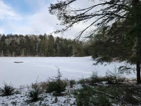 42 Beech Lane Gilsum NH 03448