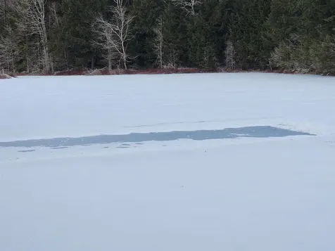 42 Beech Lane Gilsum NH 03448