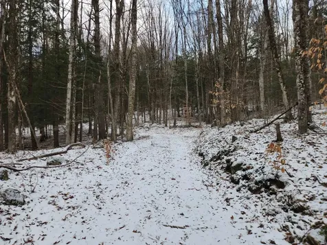 42 Beech Lane Gilsum NH 03448