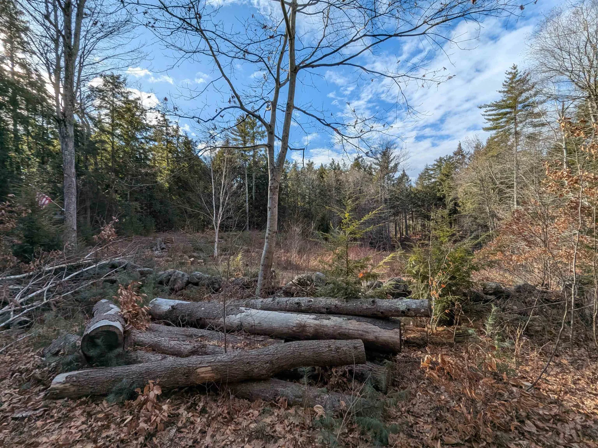 2-55 Caesars Road Mont Vernon NH 03057