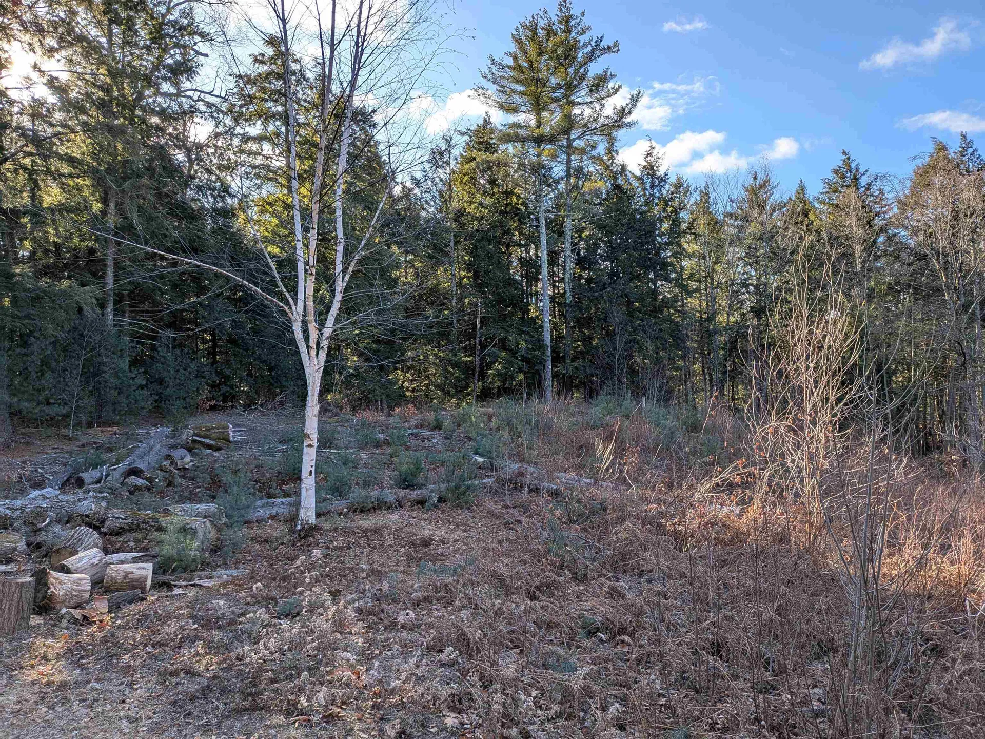 2-55 Caesars Road Mont Vernon NH 03057