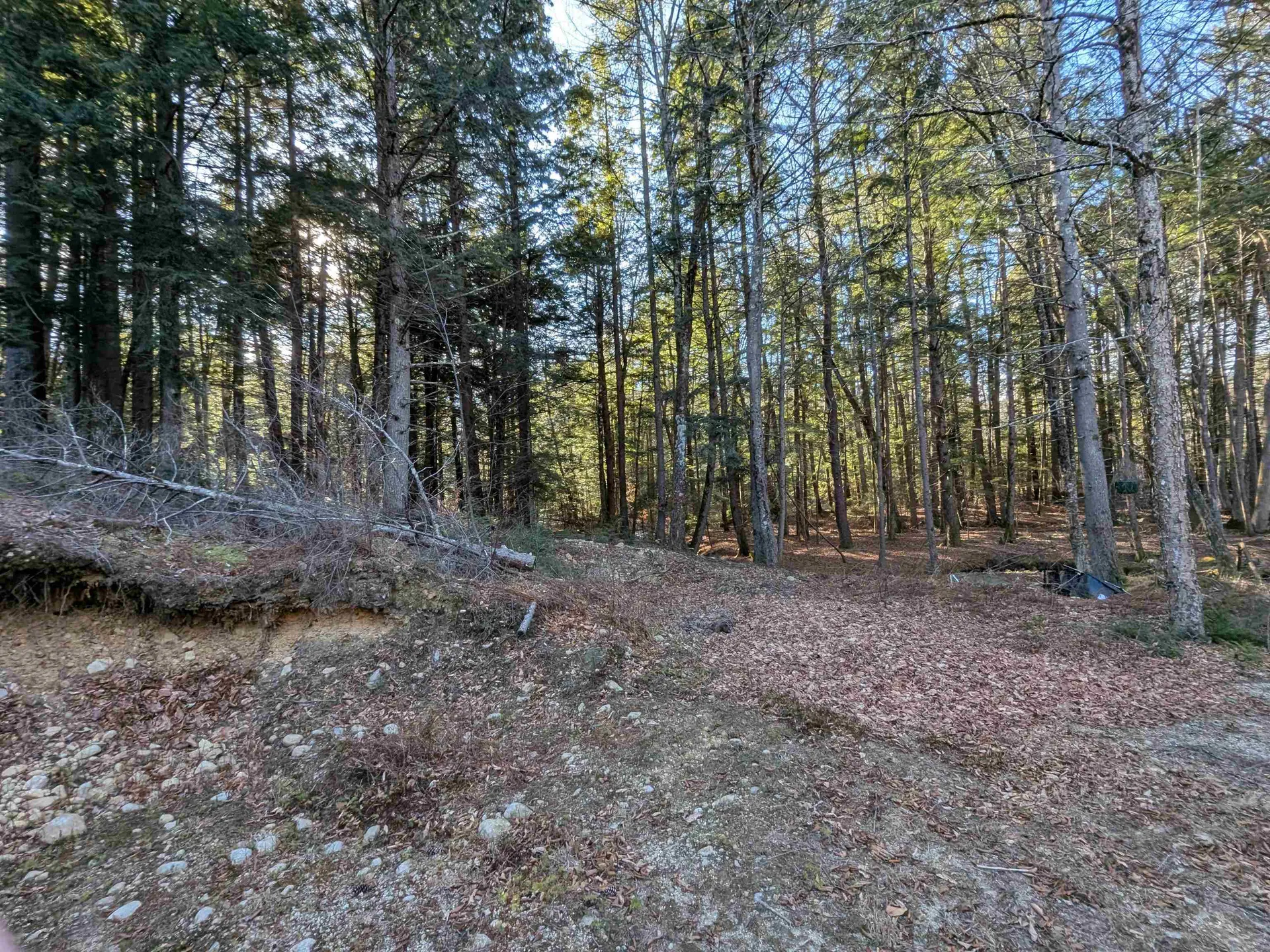 2-55 Caesars Road Mont Vernon NH 03057