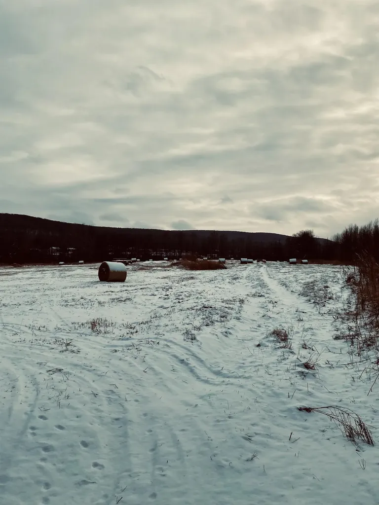 5 Lot Subdivision Off Viens Road Swanton VT 05488