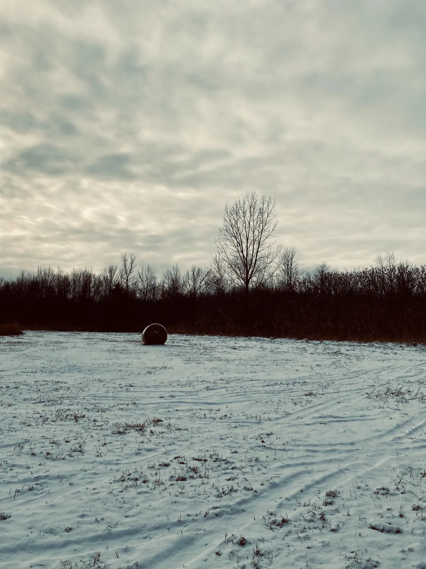 5 Lot Subdivision Off Viens Road Swanton VT 05488