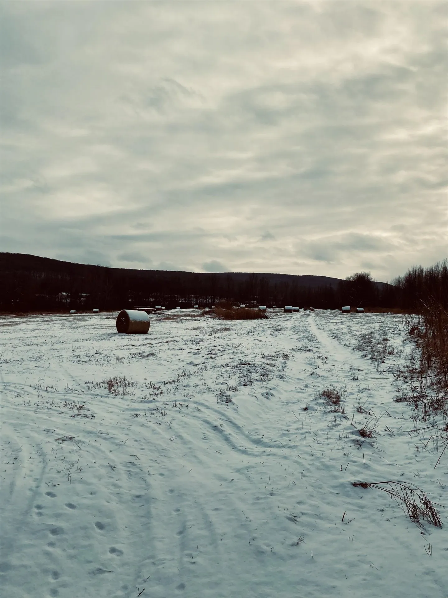 5 Lot Subdivision Off Viens Road Swanton VT 05488