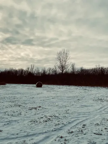 5 Lot Subdivision Off Viens Road Swanton VT 05488