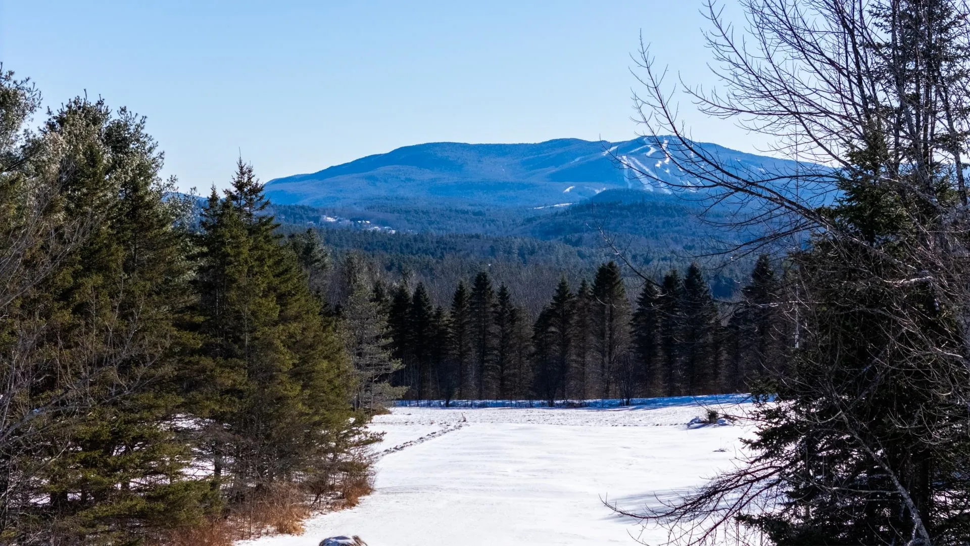 538 North Road Sunapee NH 03782