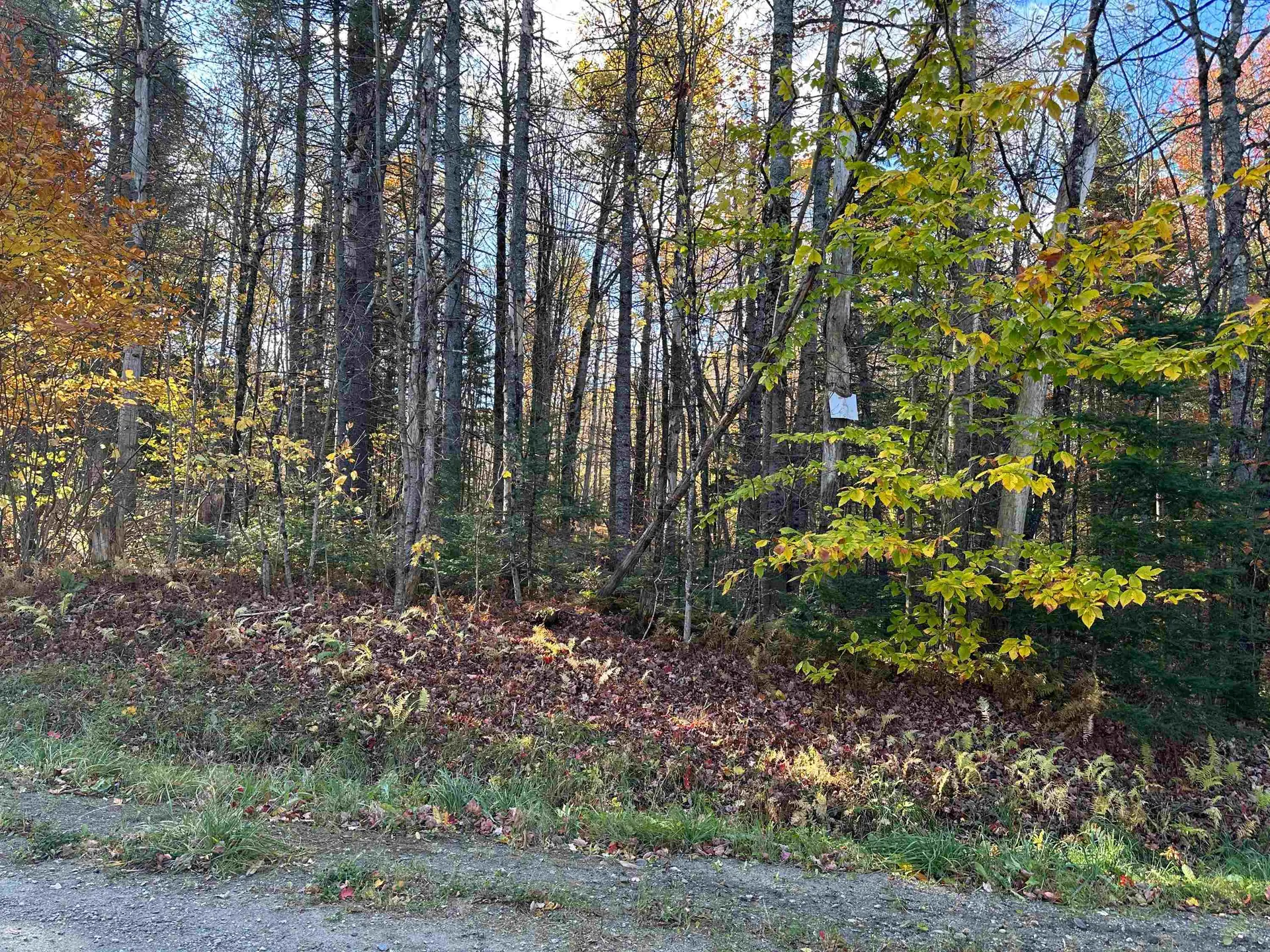 0 Sun And Ski Road Wilmington VT 05363