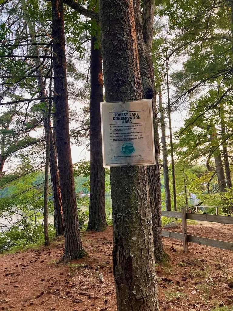 45 Forest Lake Circle Winchester NH 03470