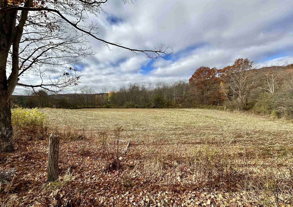 47 Lewis Road Rupert VT 05776