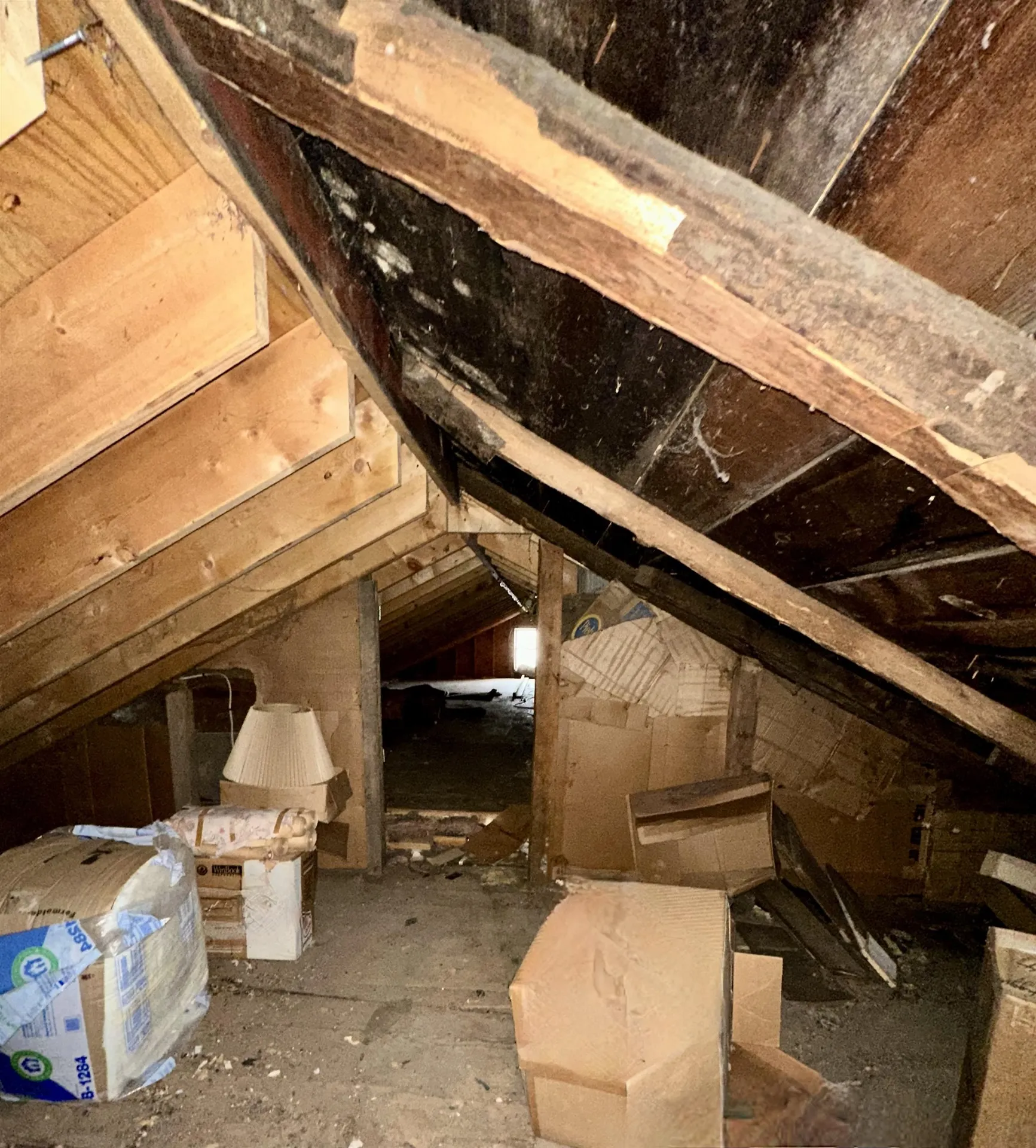 47 Lewis Road Rupert VT 05776