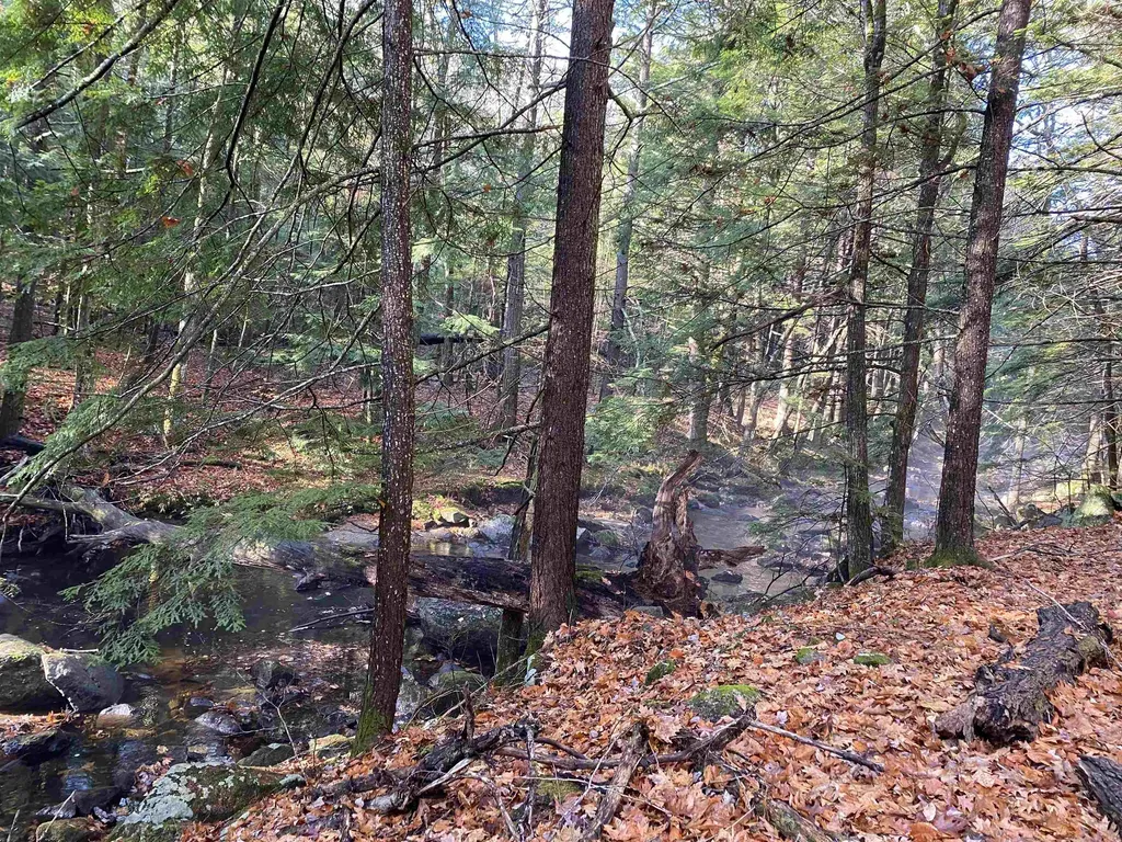 50 Fairgrounds Road Bradford NH 03221