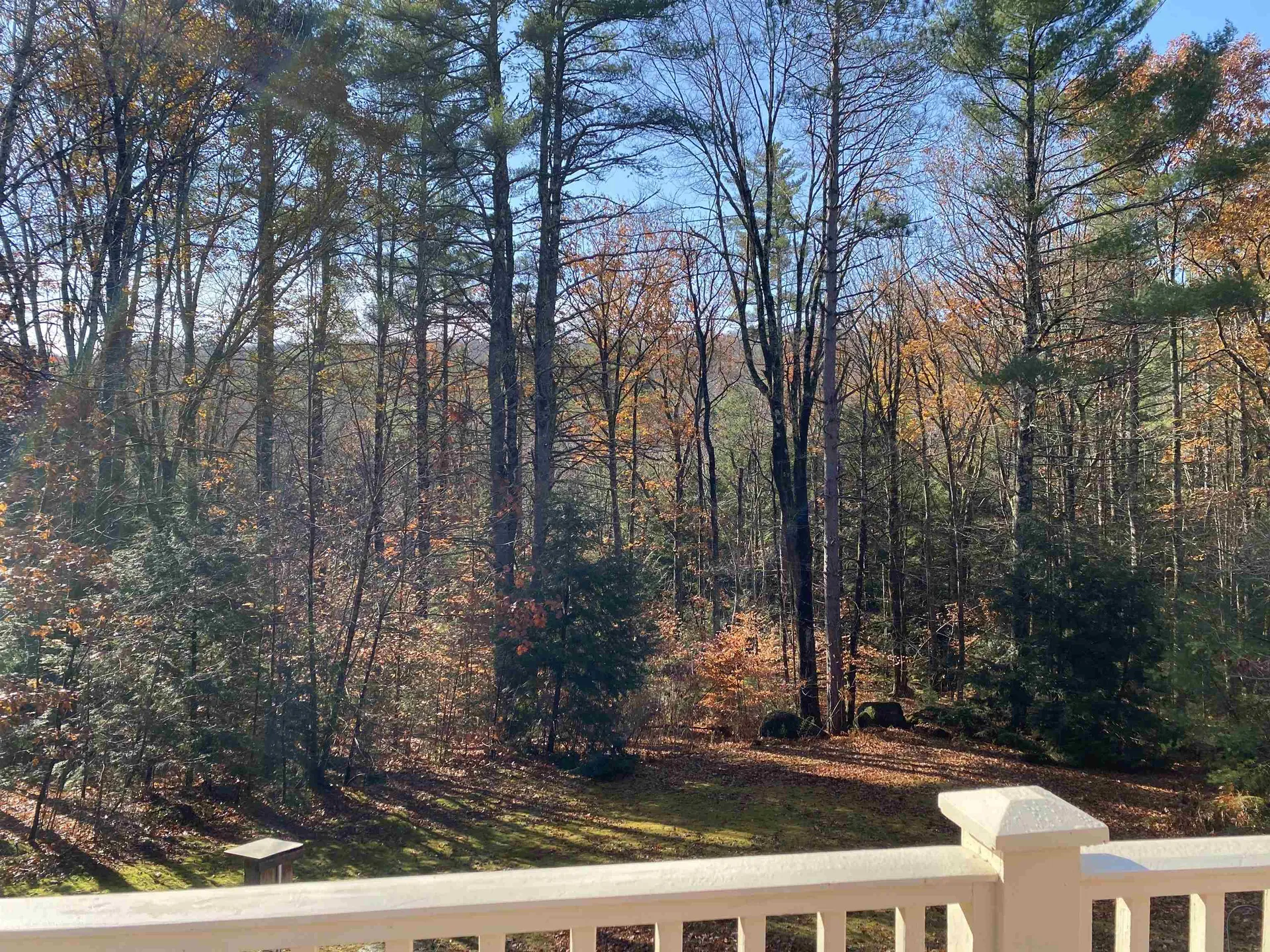 50 Fairgrounds Road Bradford NH 03221