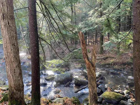 50 Fairgrounds Road Bradford NH 03221