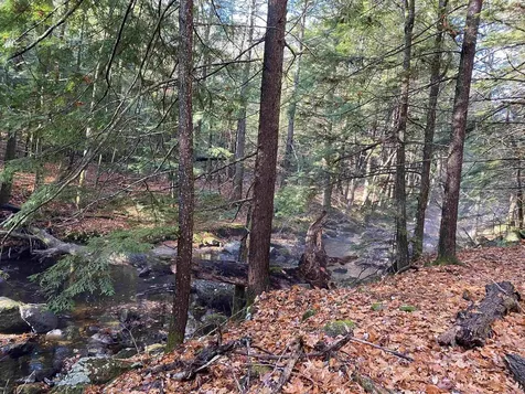 50 Fairgrounds Road Bradford NH 03221